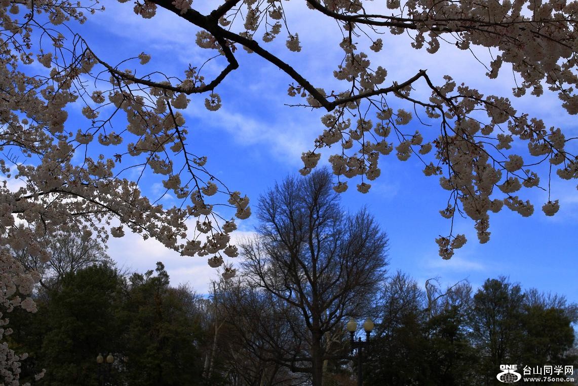 }u -IMG_3195aa.jpg