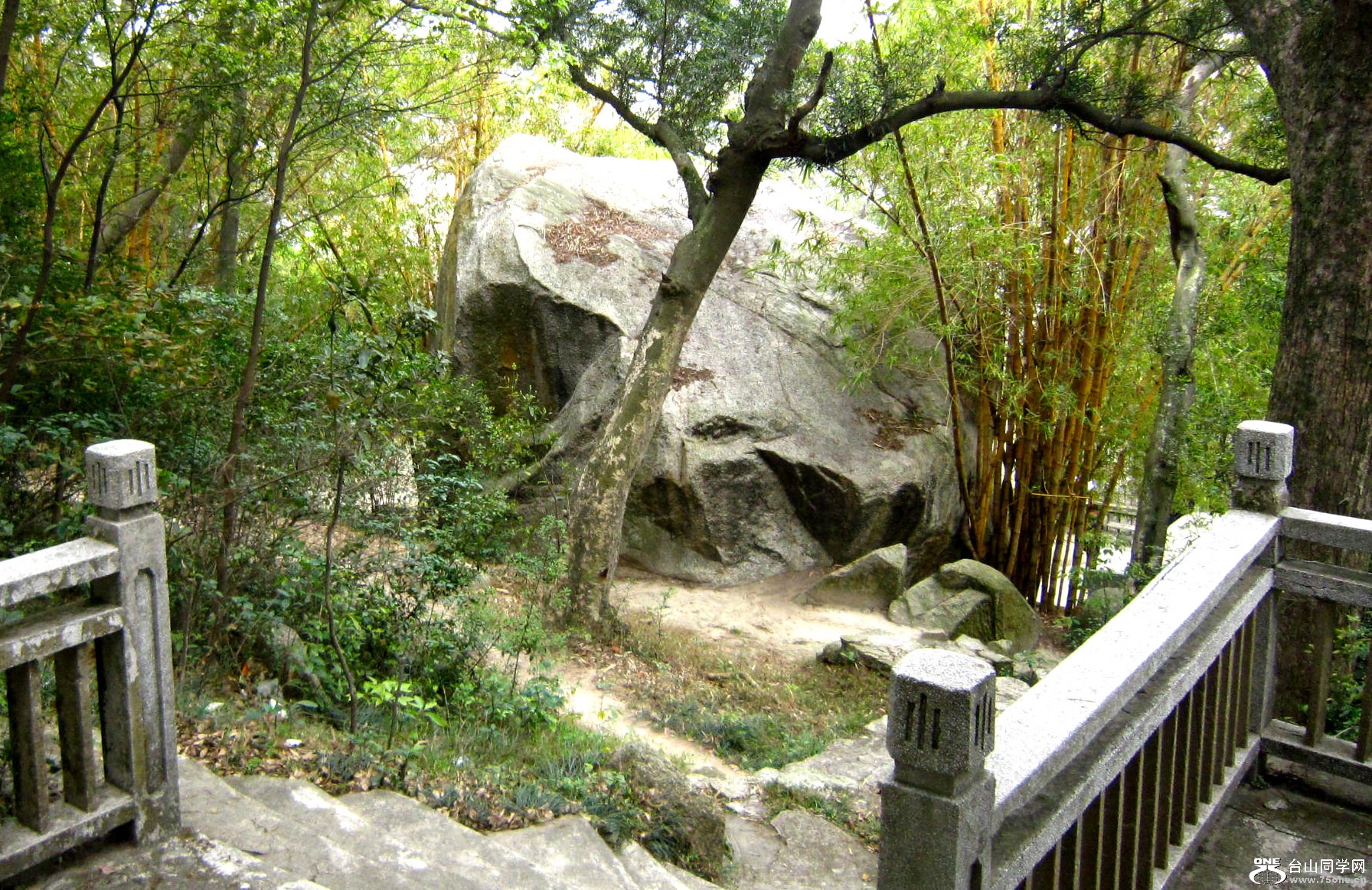 9޲-ľʯ.jpg