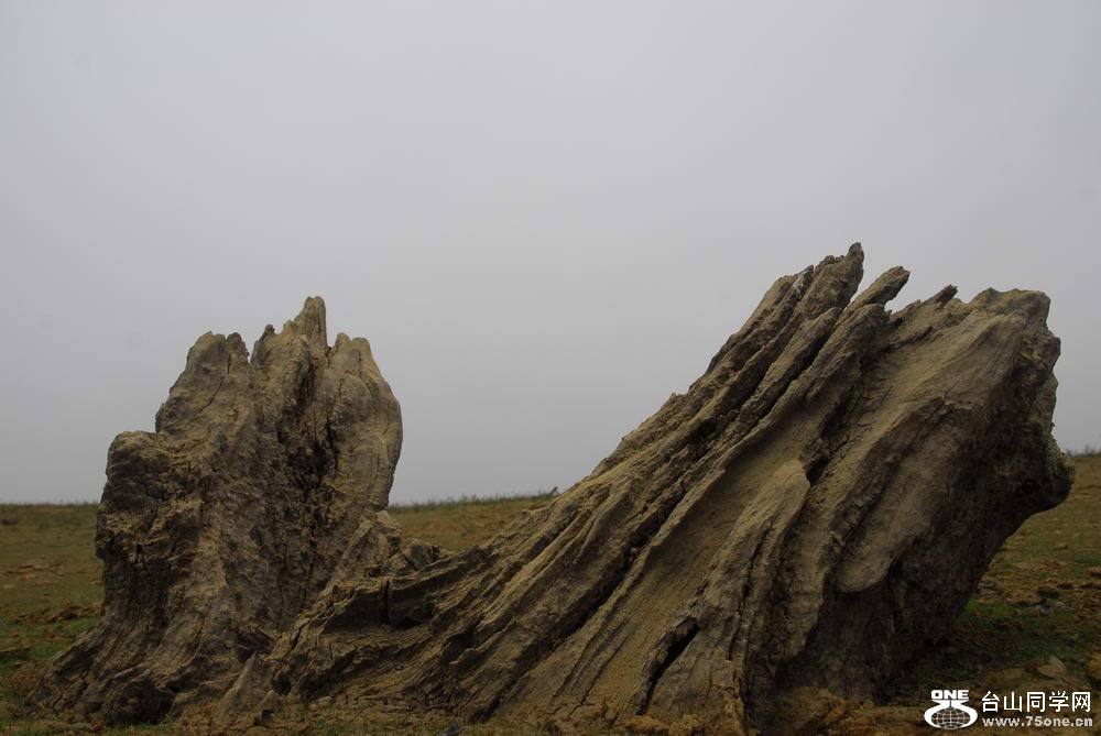 _DSC1749_СС.JPG