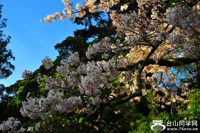 DSC_4844_conew2.jpg