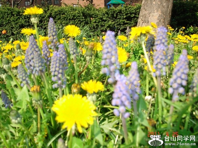 DSC01178.JPG