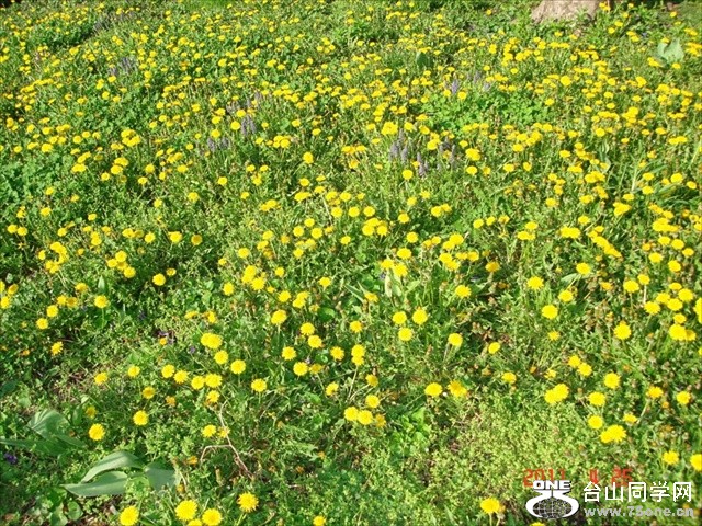 DSC01176.JPG