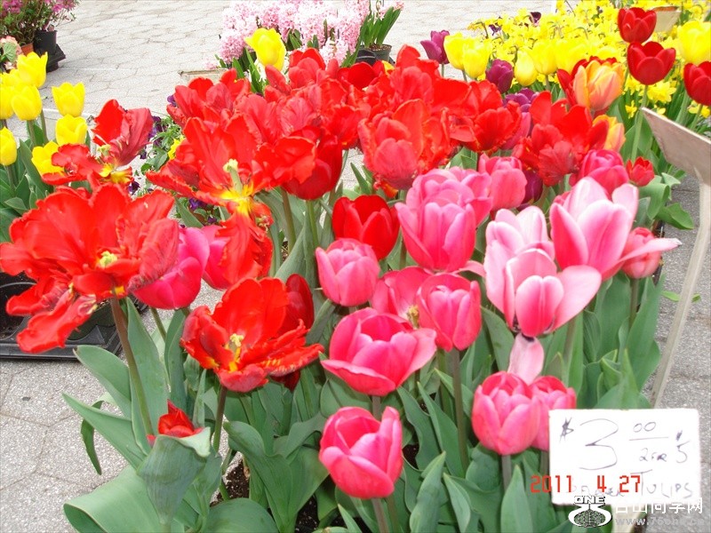 DSC01259.JPG