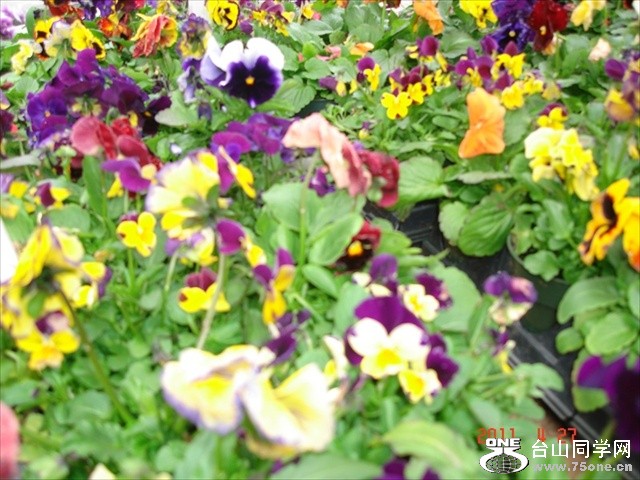 DSC01258.JPG