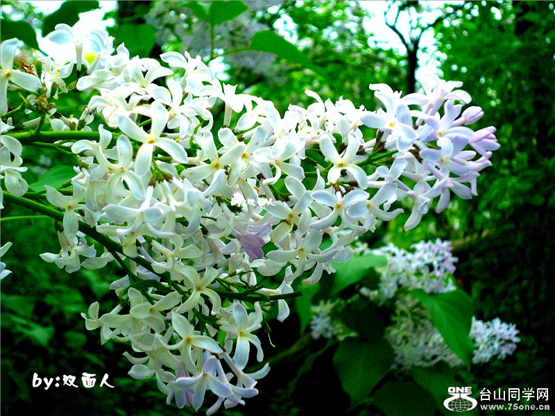 Picture 1528_.jpg