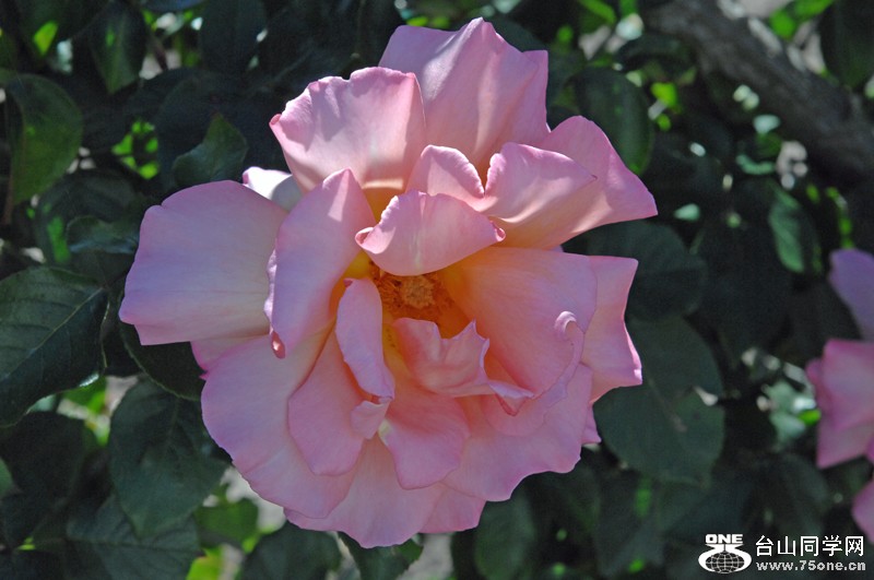 DSC_0760.JPG