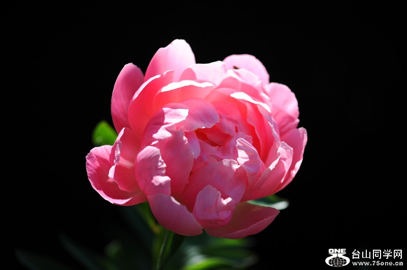 DSC_2535.JPG