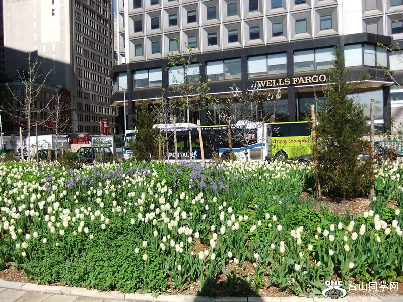 DSCF2129__.jpg
