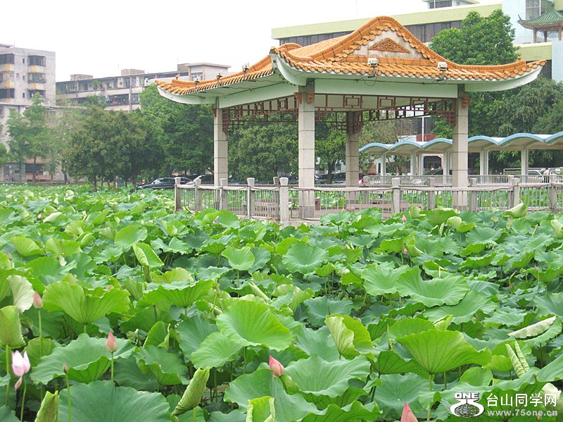 IMG_1000_副本.jpg