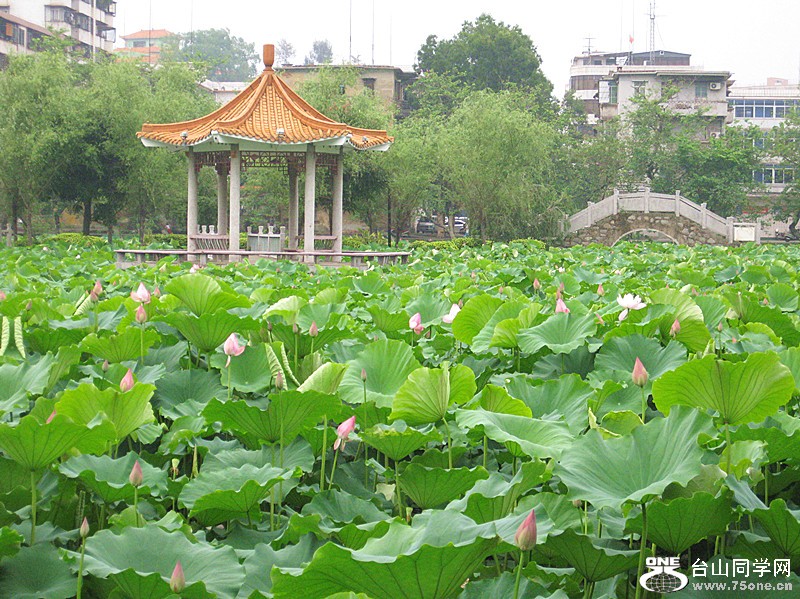 IMG_0999_副本.jpg