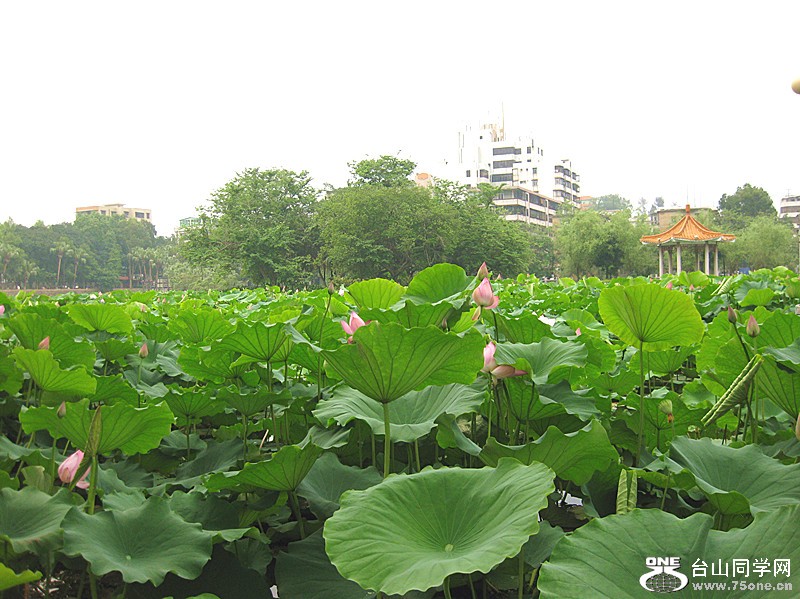 img_0996_副本.jpg