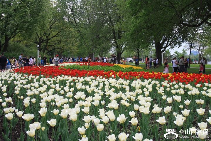 IMG_0385 (Small).JPG