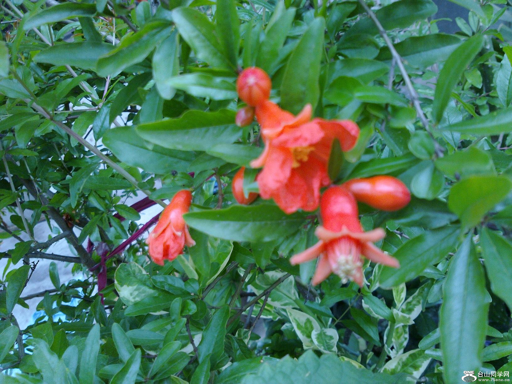 20110501058.jpg