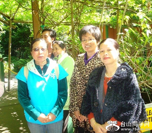 DSC08029a.jpg