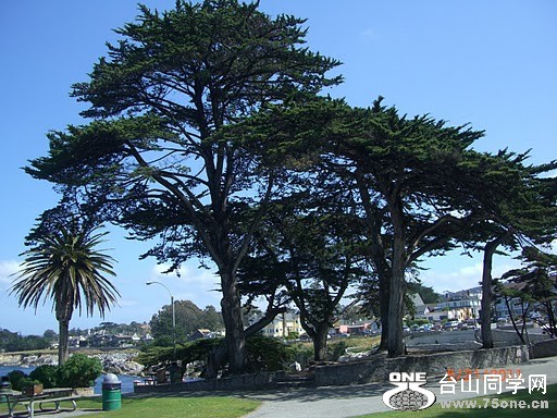 CIMG0840.JPG