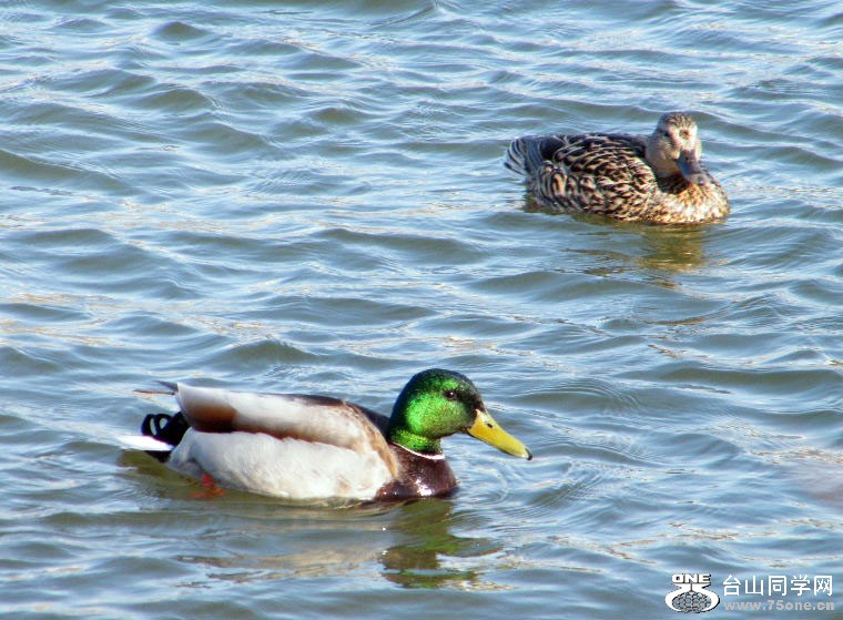 2011_0508desk0079=0.jpg