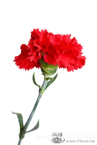0106233qm34m6uquqm4mmb.jpg