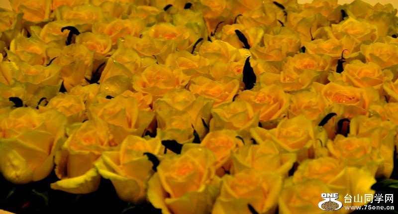 7b.jpg