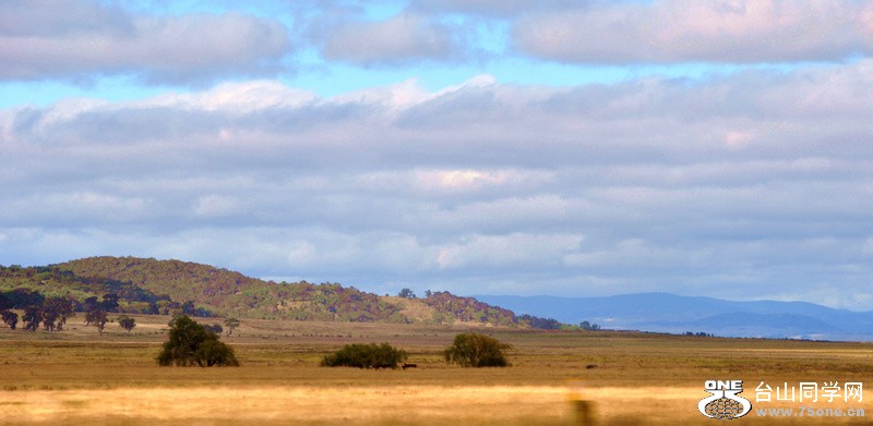 a9.jpg