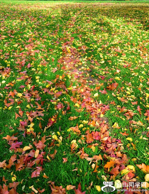 78.jpg