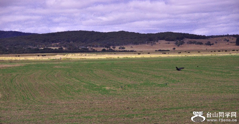 a8.jpg