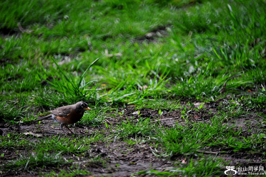 DSC_3894.jpg