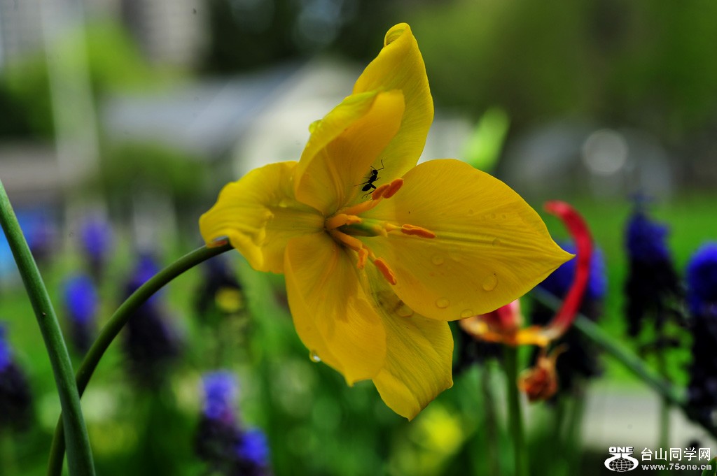 DSC_3989.jpg