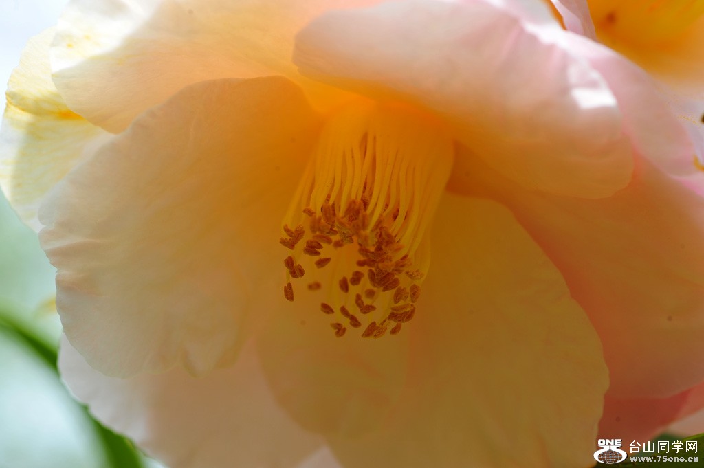 DSC_4076.jpg