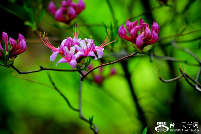 DSC_5094.jpg