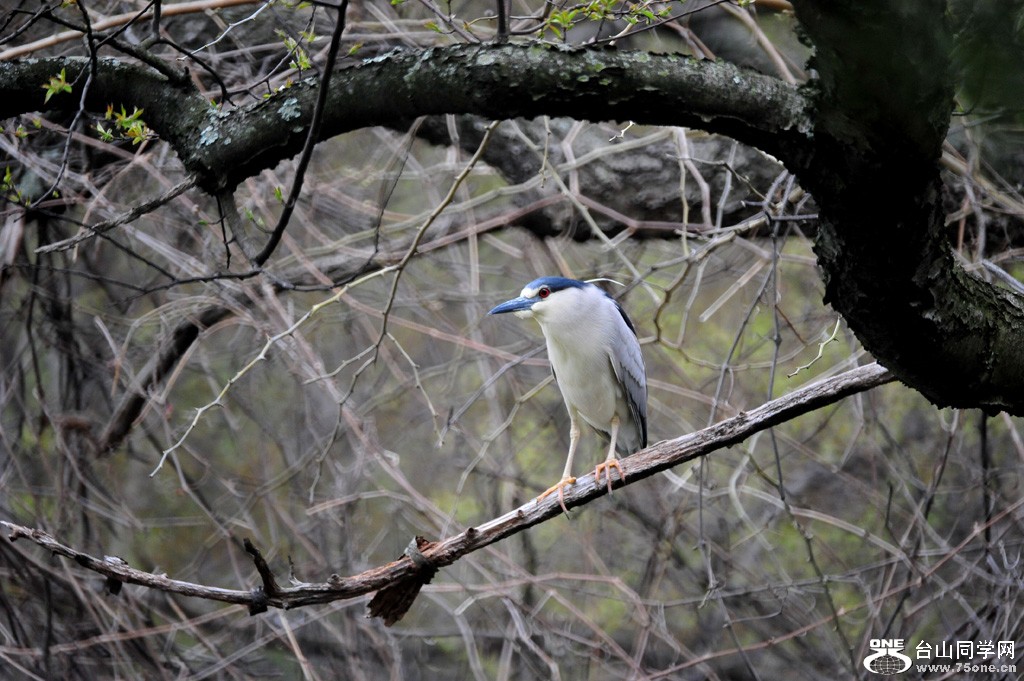 DSC_3915.jpg