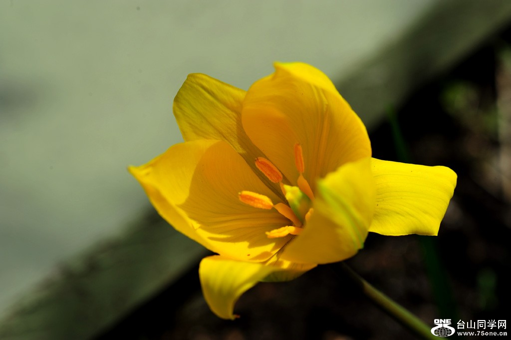 DSC_3990.jpg
