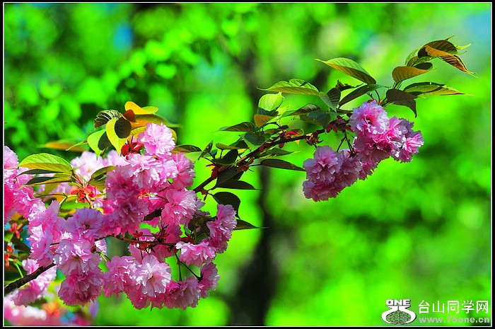 DSC_8641.JPG