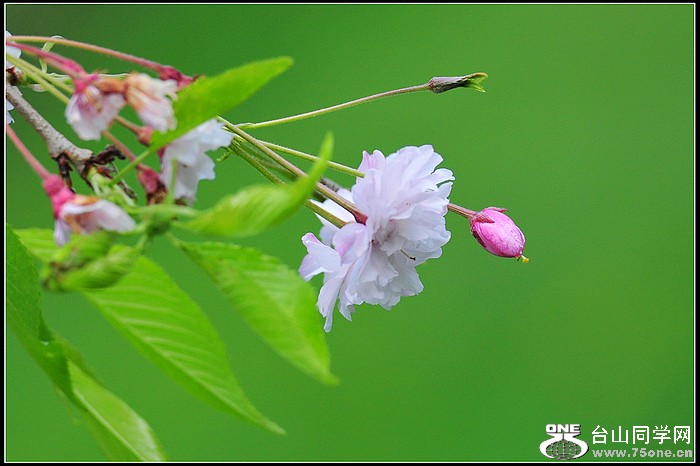 DSC_8061.JPG