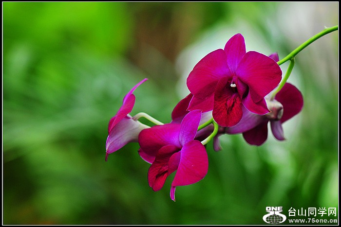 DSC_5749.JPG