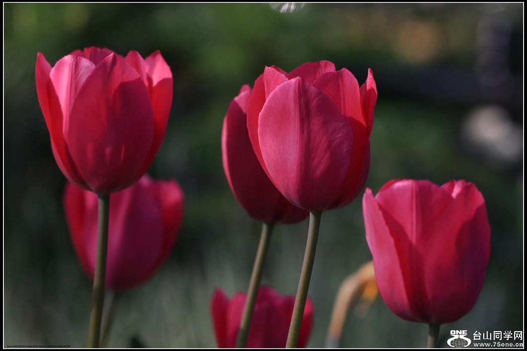 }u -IMG_7242mm.jpg