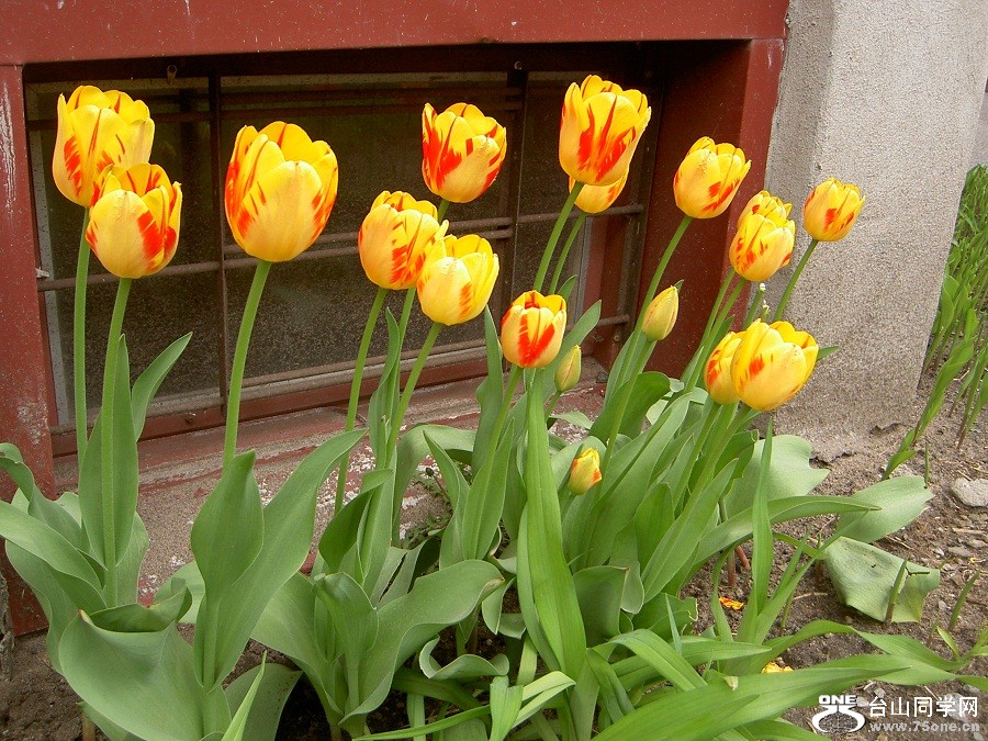 PICT4494.JPG