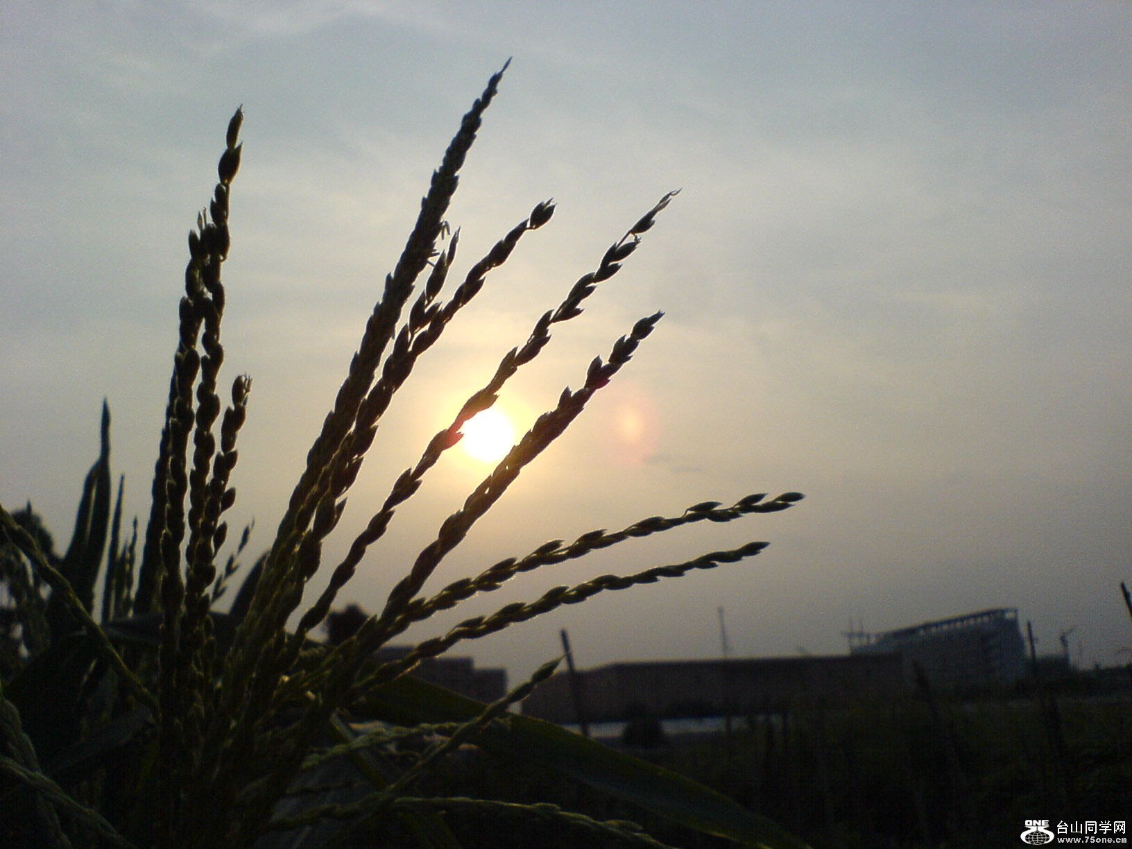 DSC05869.JPG