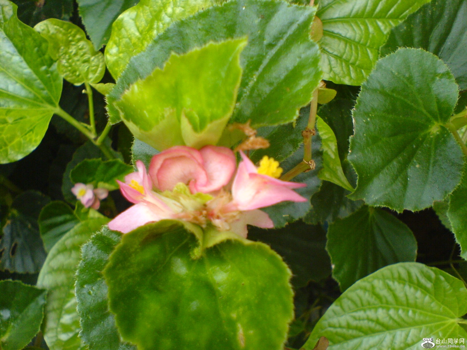 DSC05896.JPG