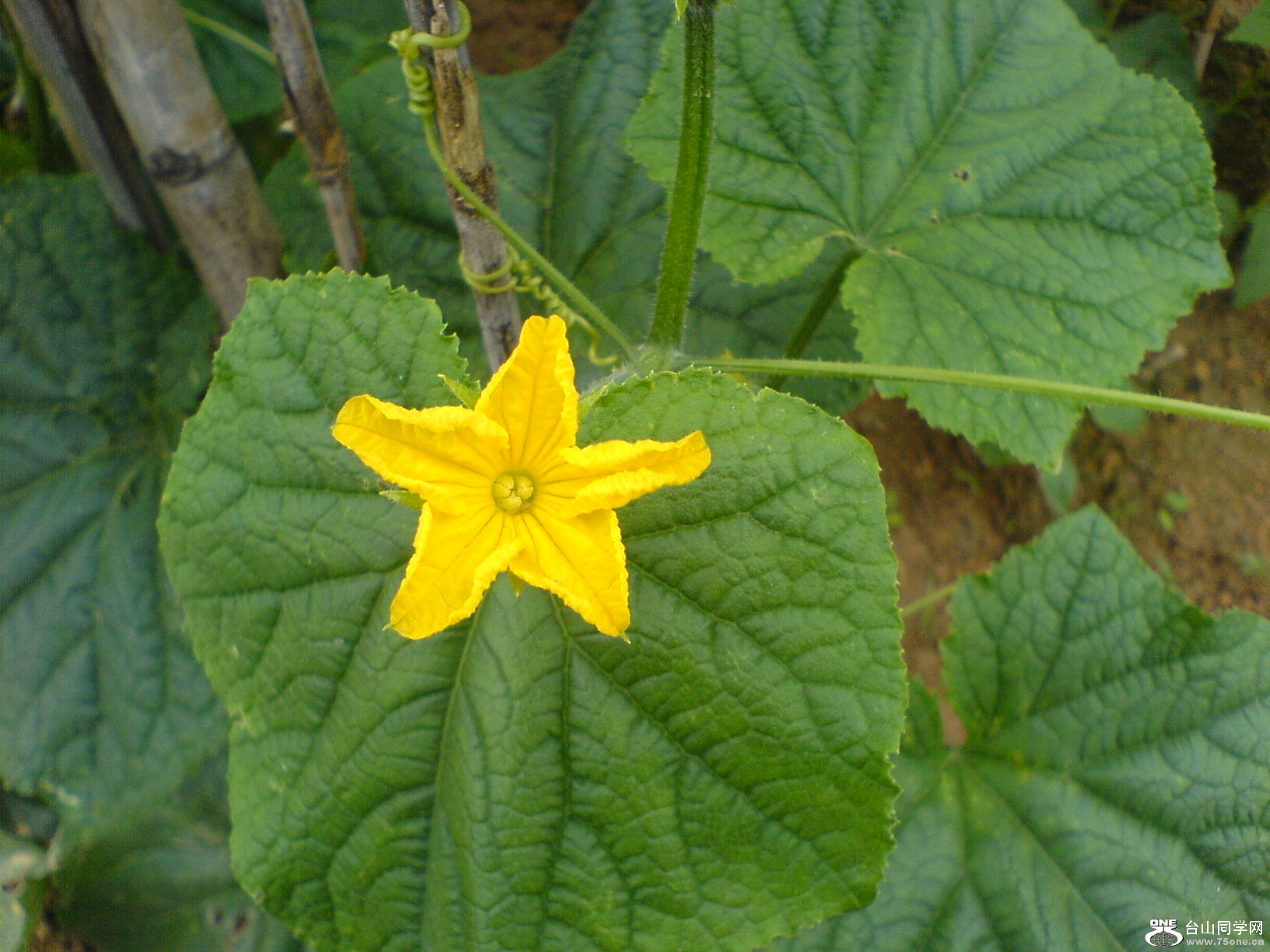 DSC05724.JPG