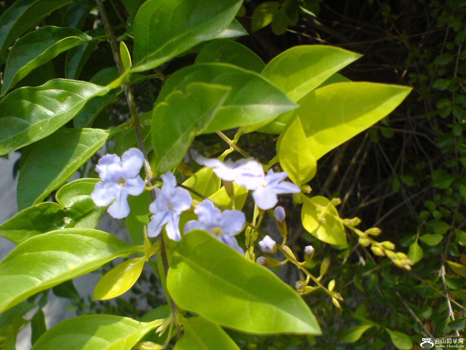 DSC05899.JPG