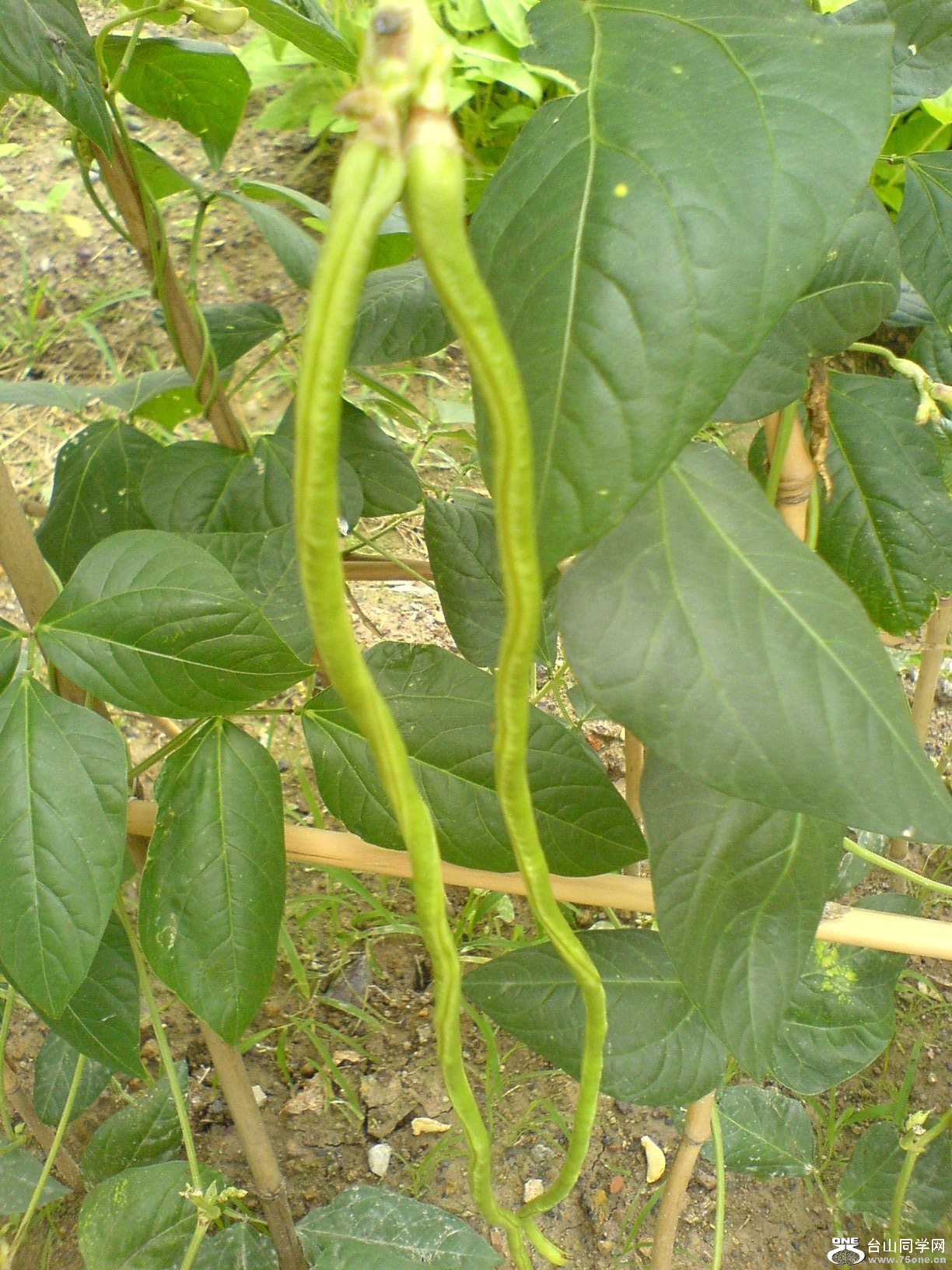 DSC05784.JPG