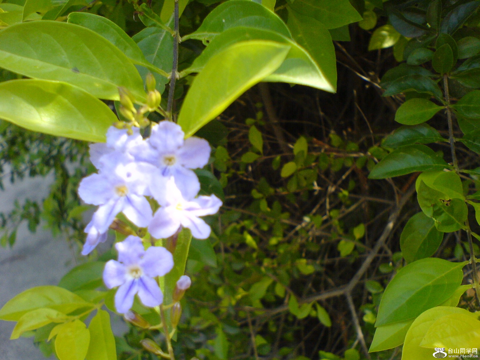 DSC05898.JPG