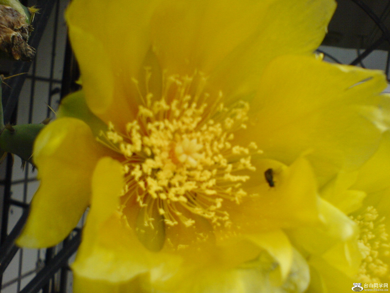 DSC05905.JPG