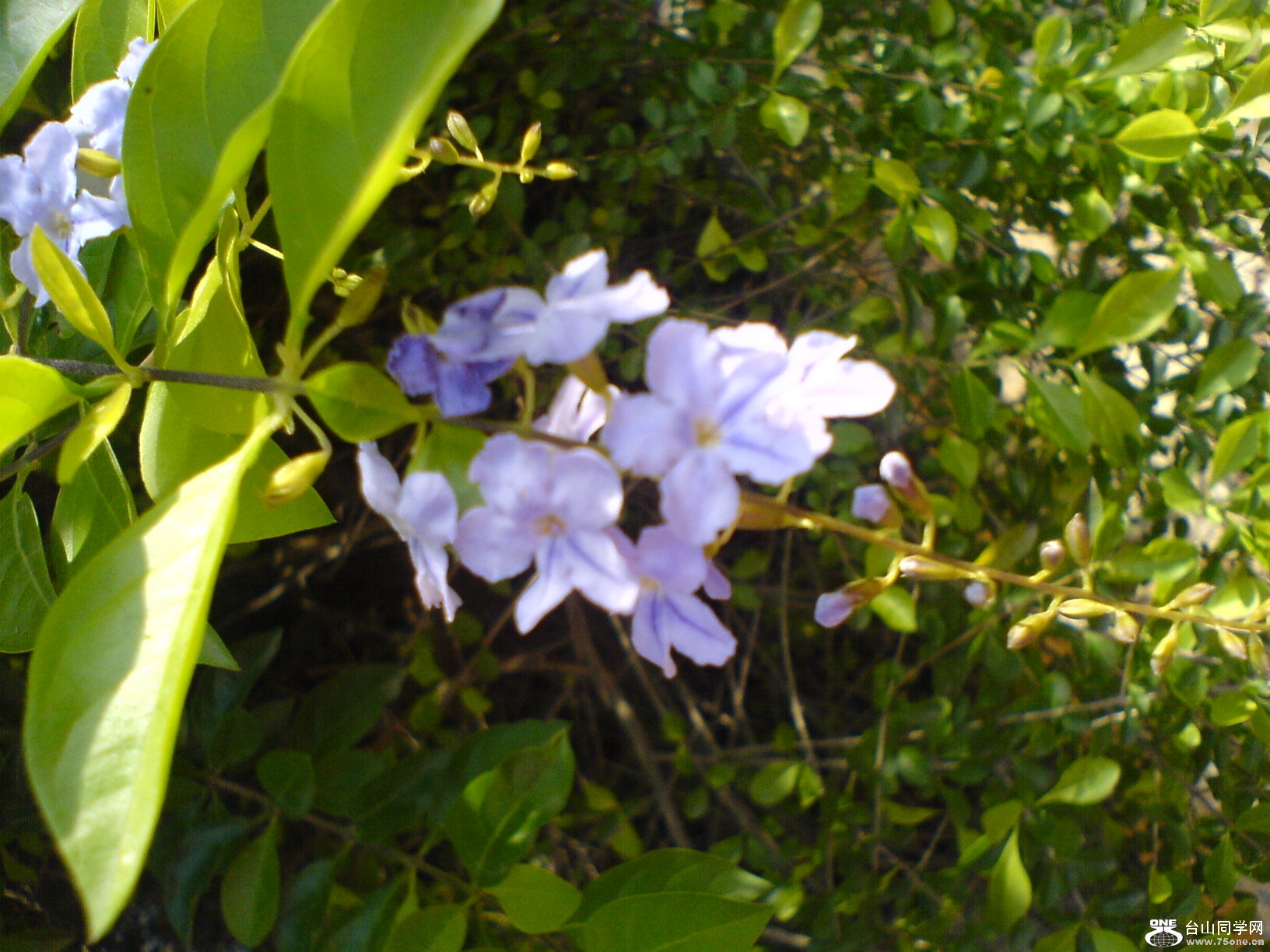 DSC05897.JPG