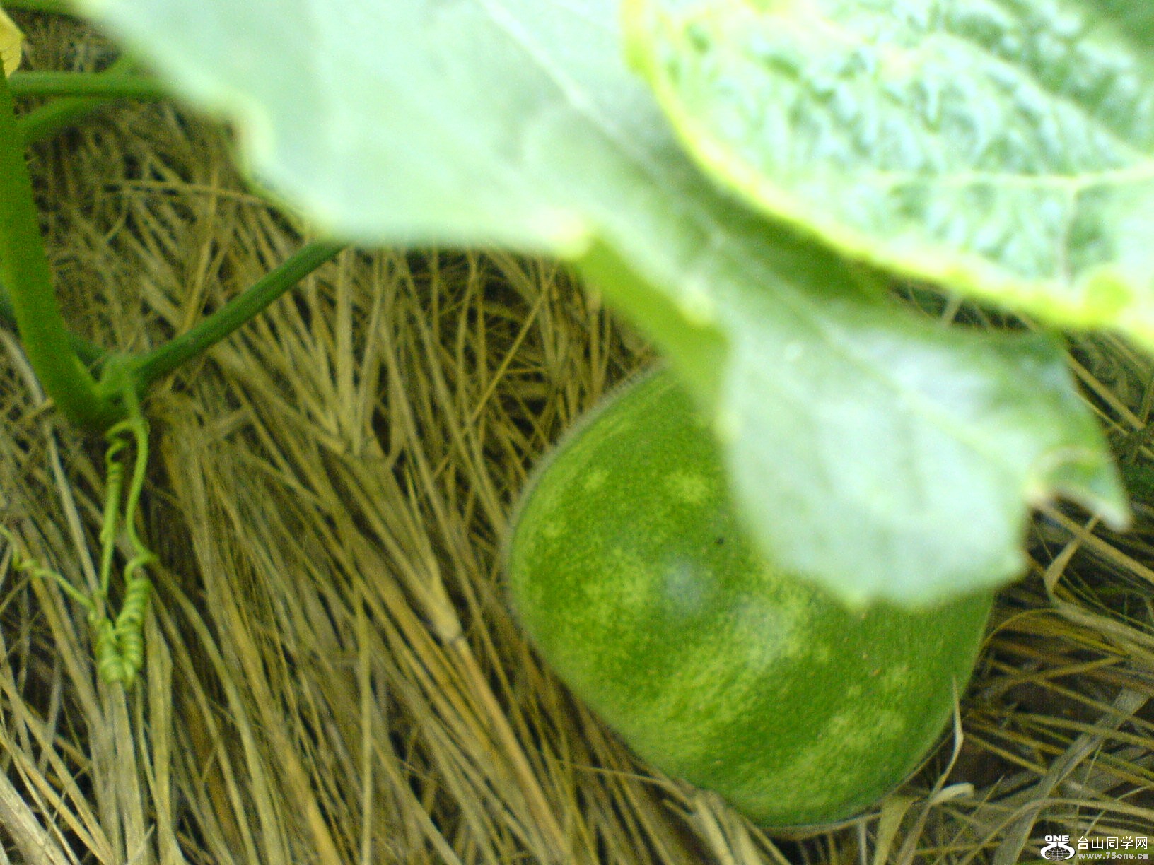 DSC05751.JPG