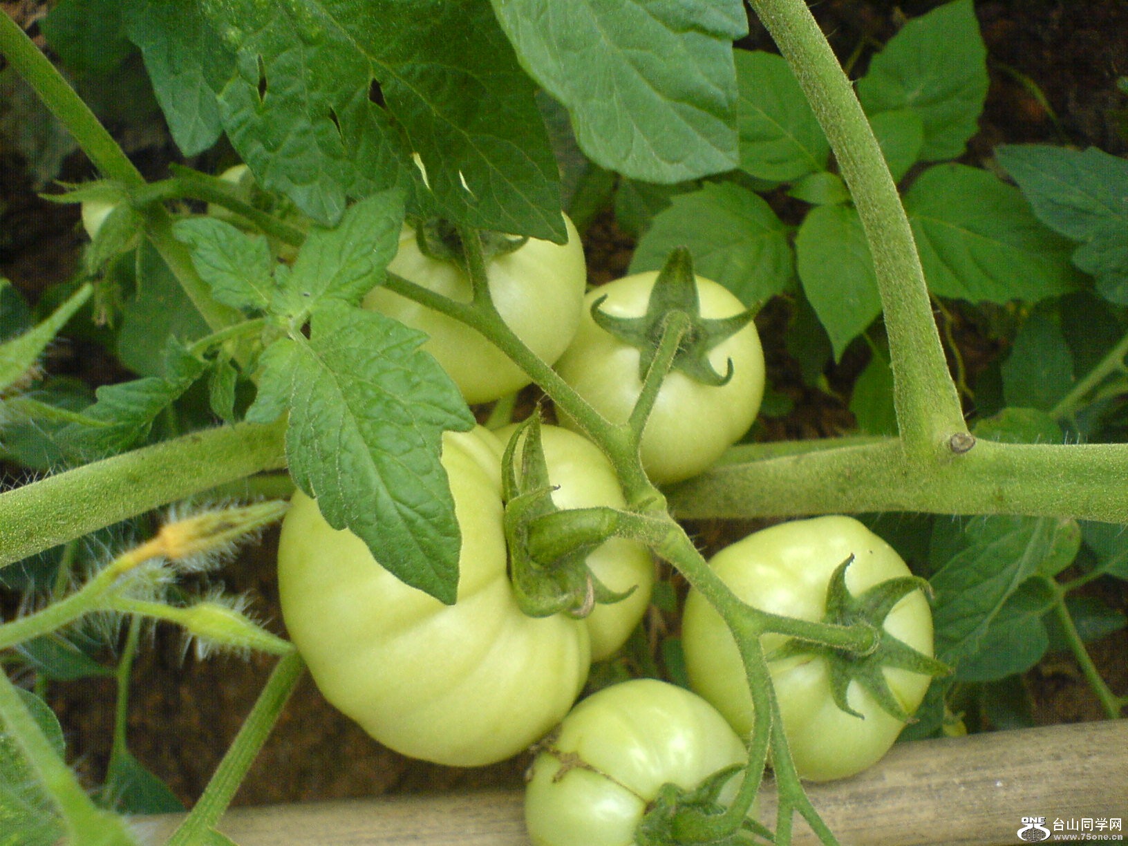 DSC05754.JPG