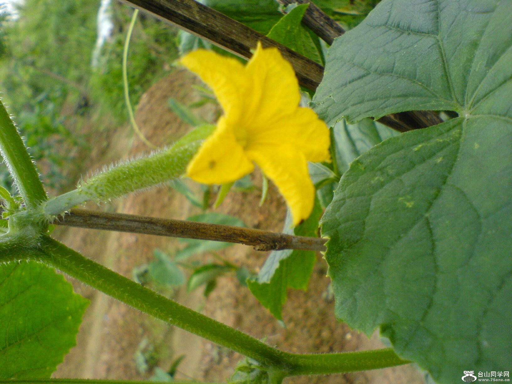 DSC05727.JPG