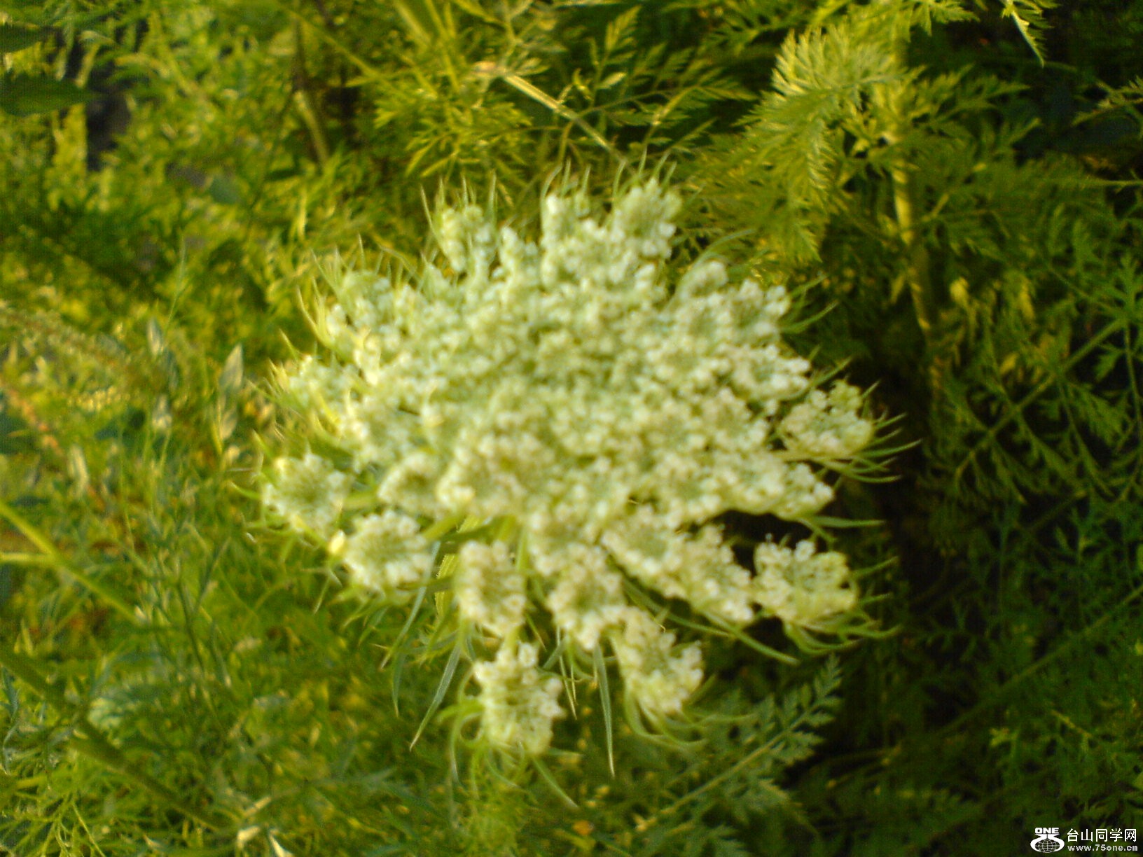 DSC05847.JPG
