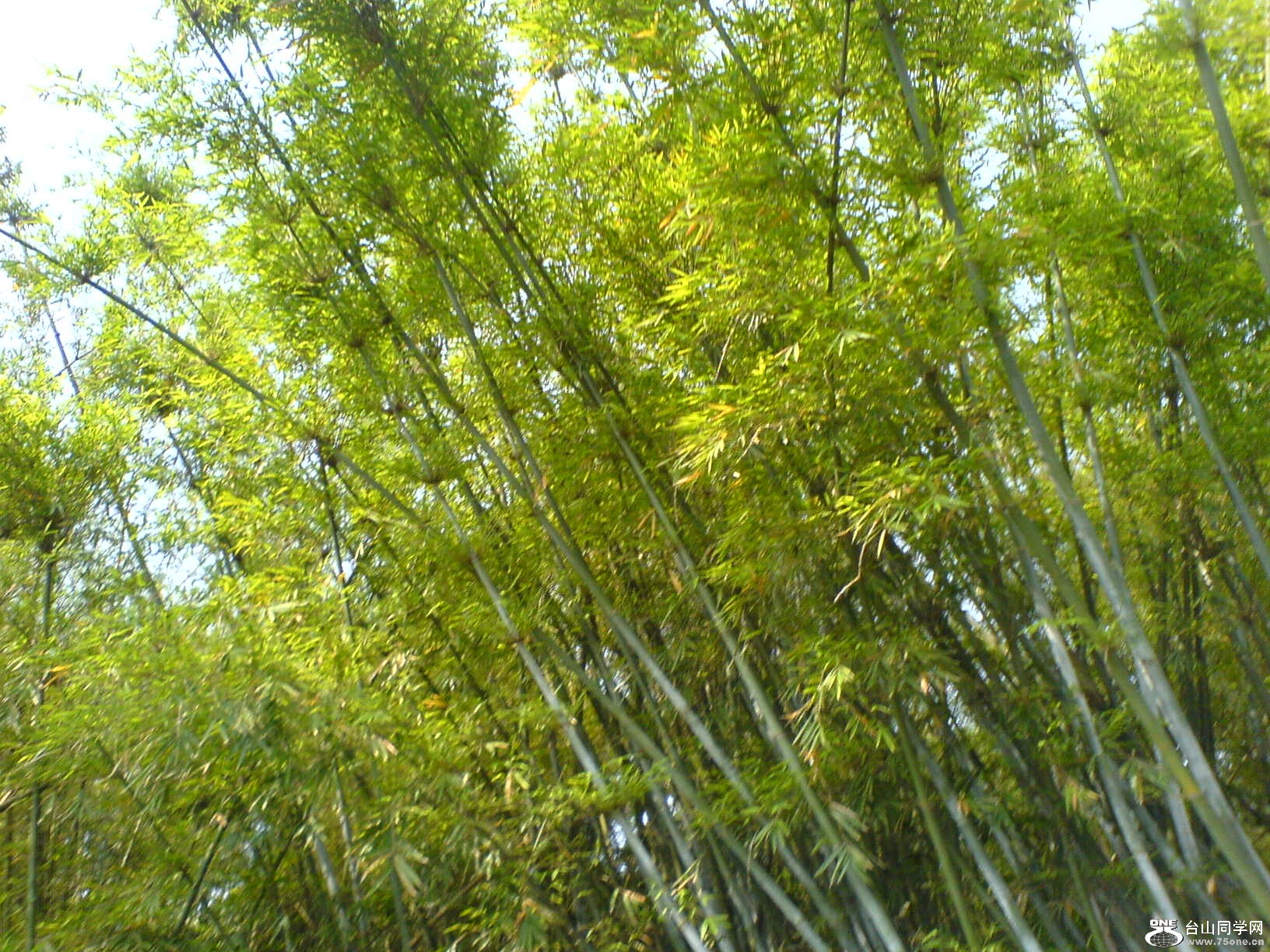 DSC05594.JPG