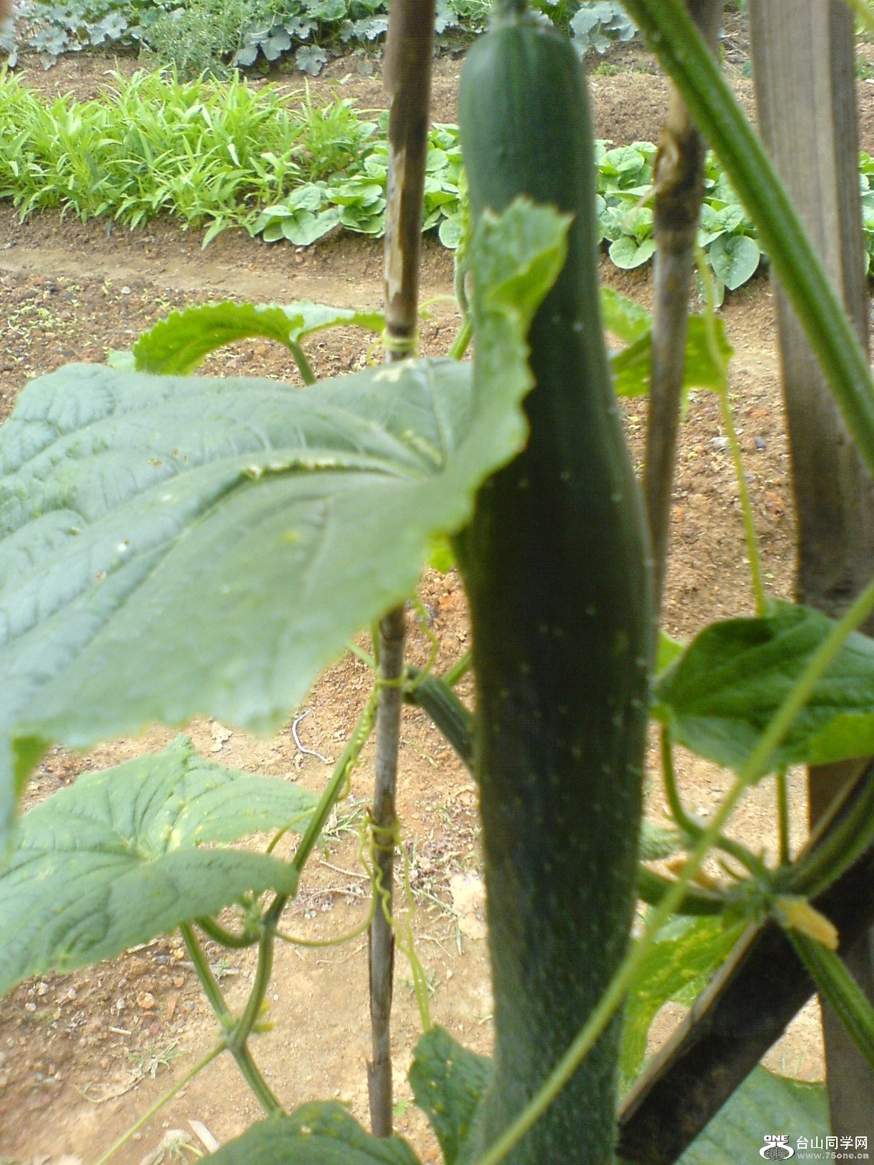DSC05752.JPG